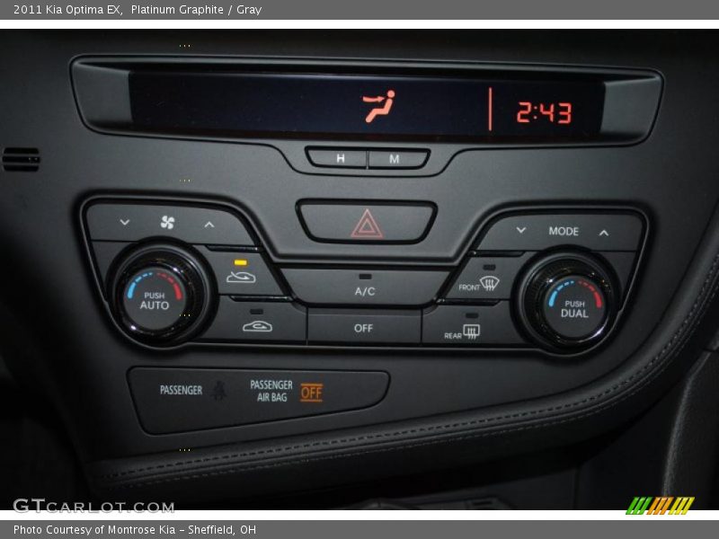 Platinum Graphite / Gray 2011 Kia Optima EX
