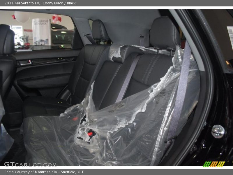 Ebony Black / Black 2011 Kia Sorento EX