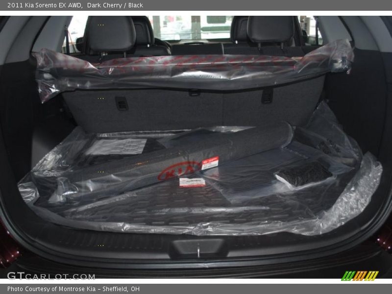 Dark Cherry / Black 2011 Kia Sorento EX AWD