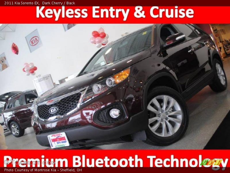 Dark Cherry / Black 2011 Kia Sorento EX