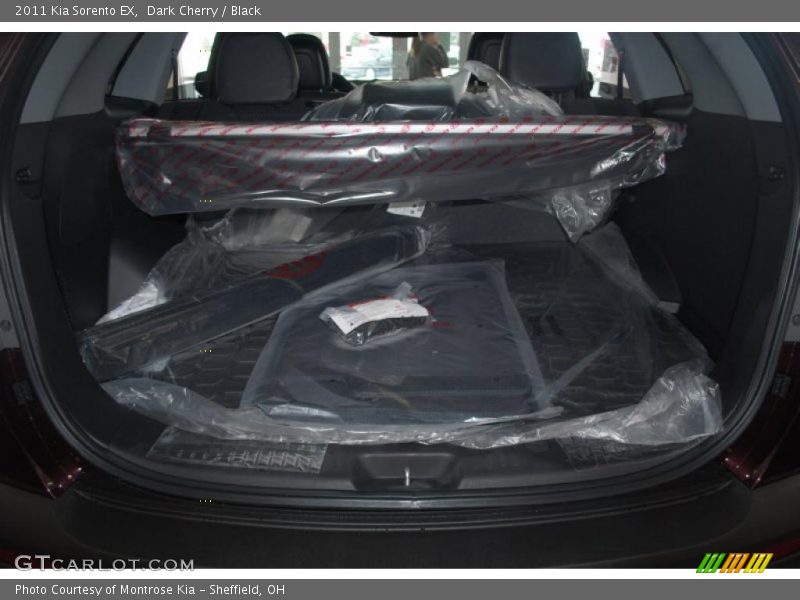 Dark Cherry / Black 2011 Kia Sorento EX