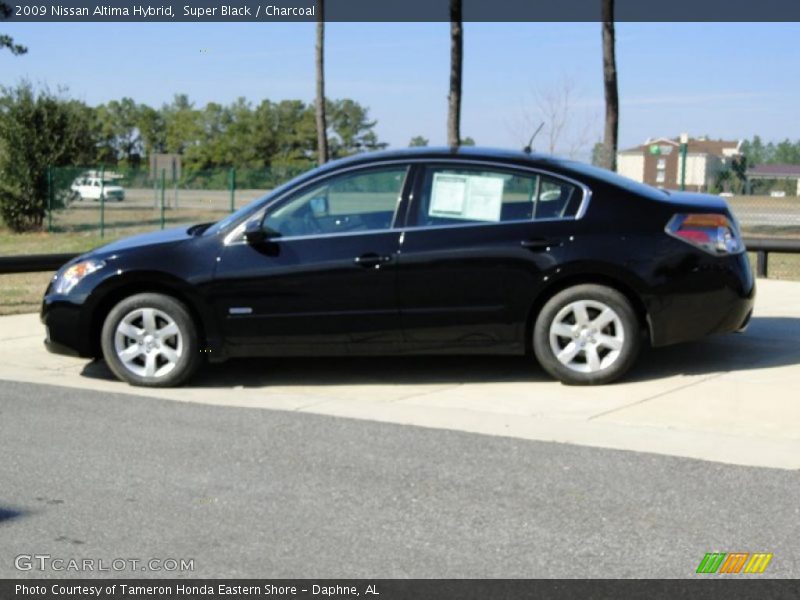Super Black / Charcoal 2009 Nissan Altima Hybrid