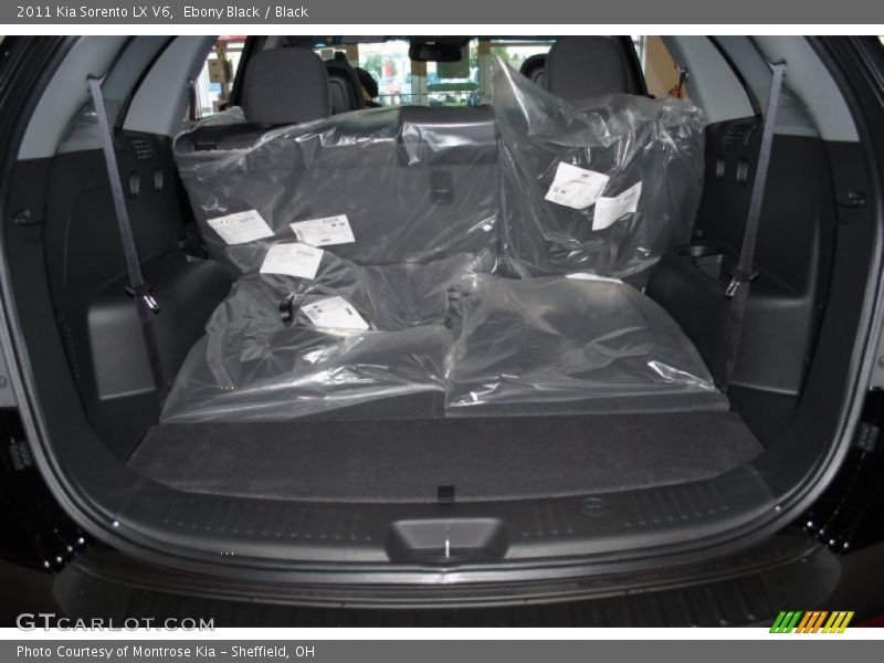 Ebony Black / Black 2011 Kia Sorento LX V6
