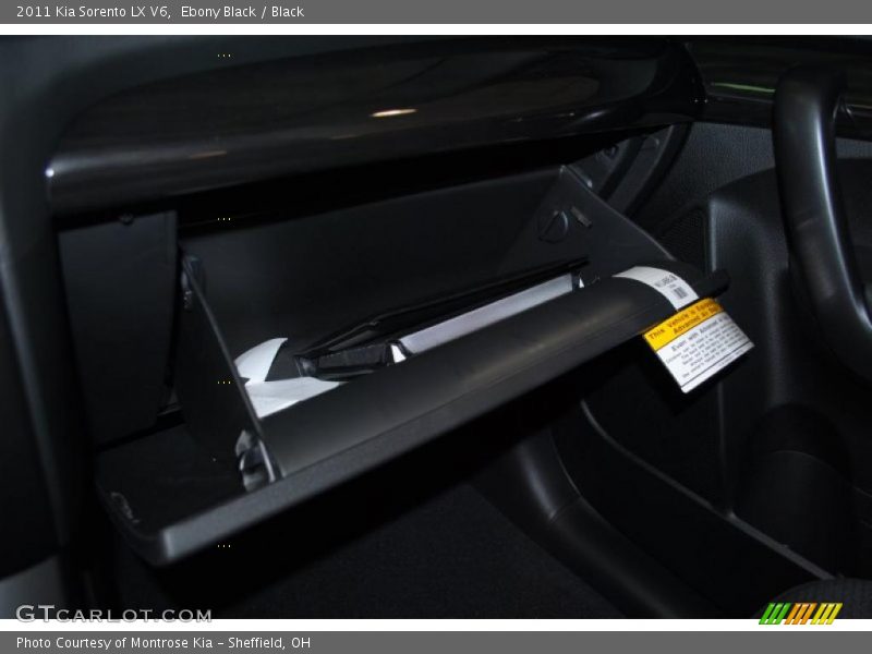 Ebony Black / Black 2011 Kia Sorento LX V6