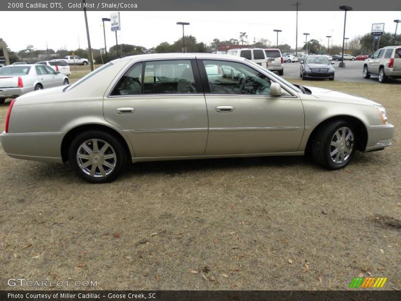 Gold Mist / Shale/Cocoa 2008 Cadillac DTS