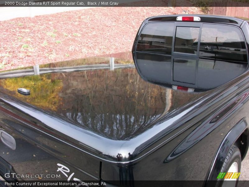 Black / Mist Gray 2000 Dodge Dakota R/T Sport Regular Cab