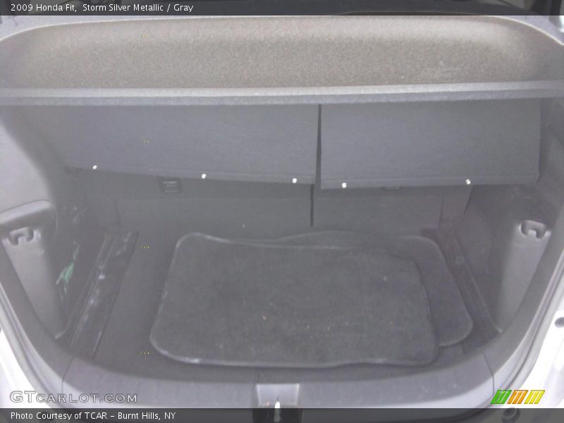 Storm Silver Metallic / Gray 2009 Honda Fit