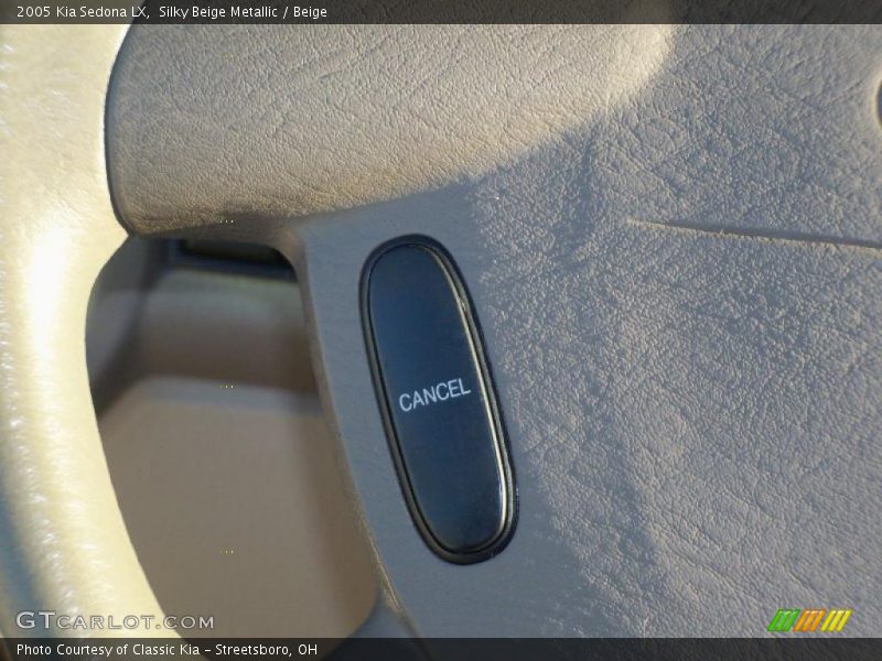 Silky Beige Metallic / Beige 2005 Kia Sedona LX