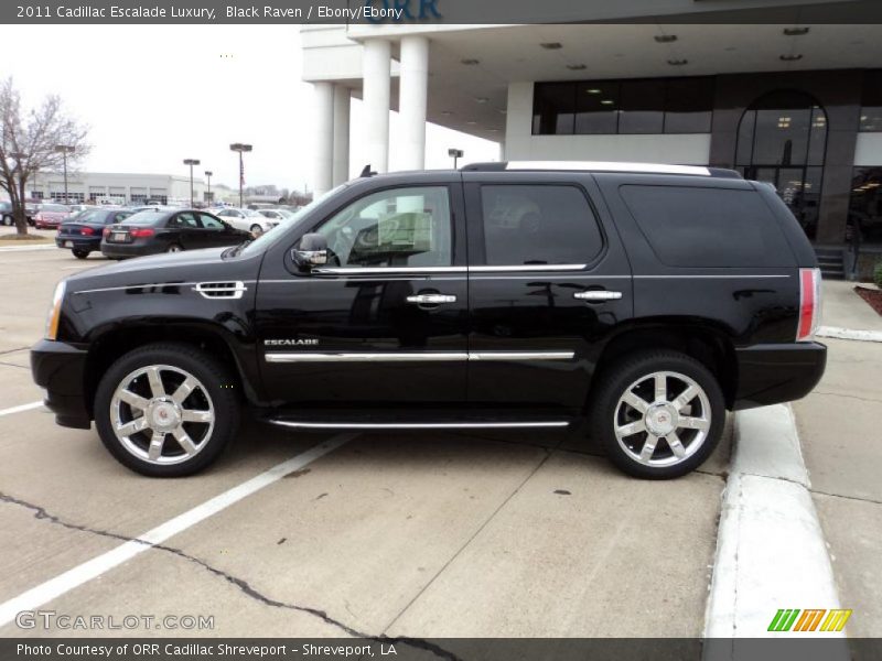 Black Raven / Ebony/Ebony 2011 Cadillac Escalade Luxury