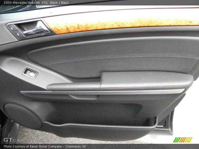 Door Panel of 2009 ML 350