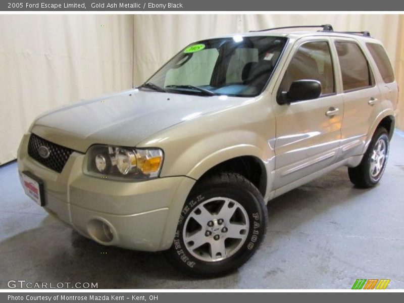 Gold Ash Metallic / Ebony Black 2005 Ford Escape Limited