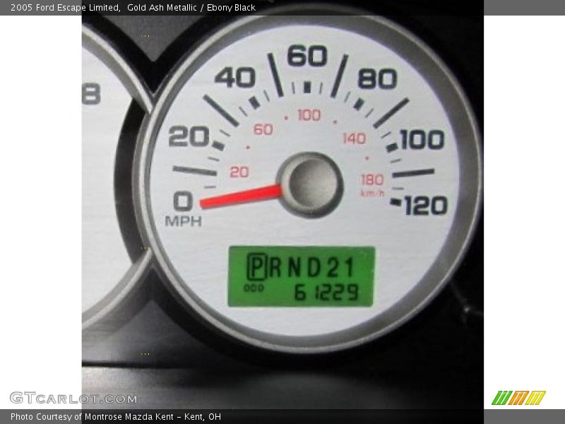 Gold Ash Metallic / Ebony Black 2005 Ford Escape Limited