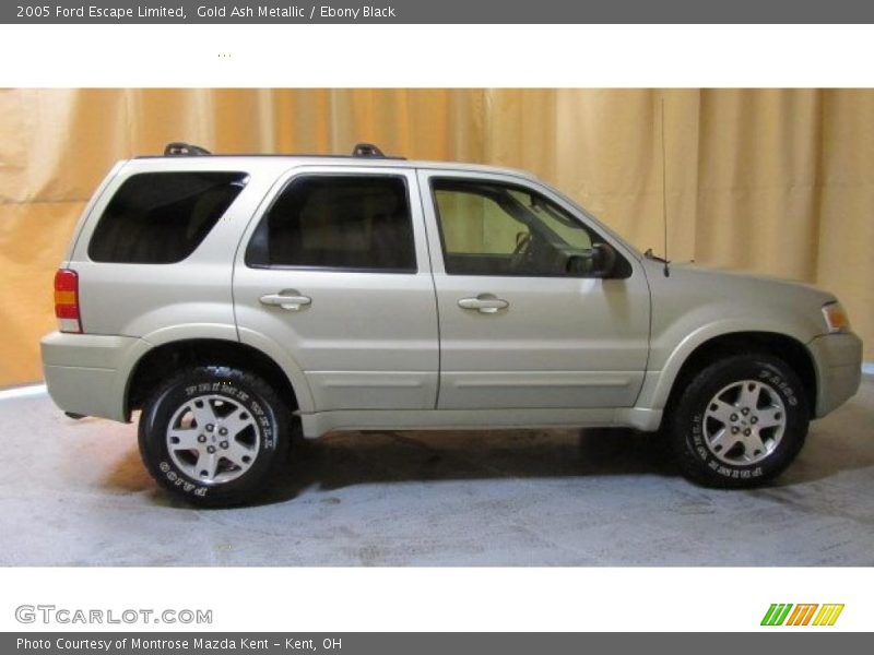 Gold Ash Metallic / Ebony Black 2005 Ford Escape Limited