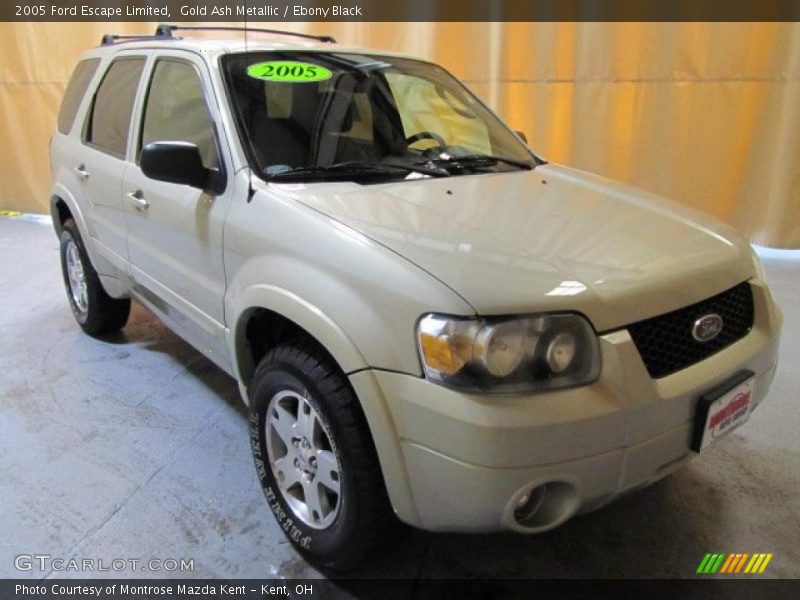 Gold Ash Metallic / Ebony Black 2005 Ford Escape Limited