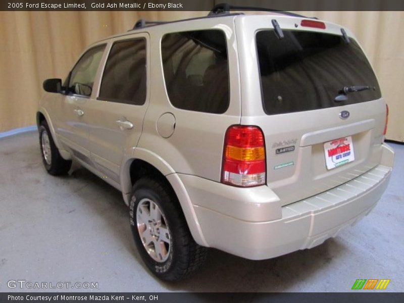  2005 Escape Limited Gold Ash Metallic