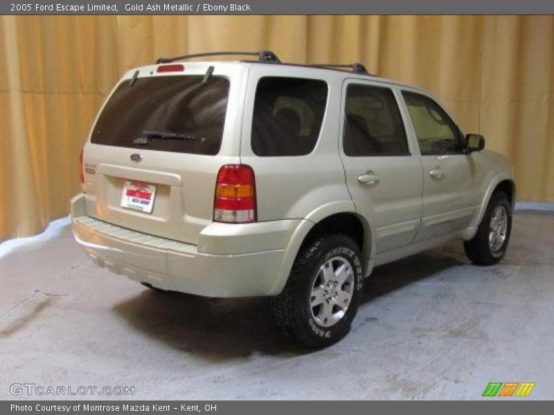 Gold Ash Metallic / Ebony Black 2005 Ford Escape Limited