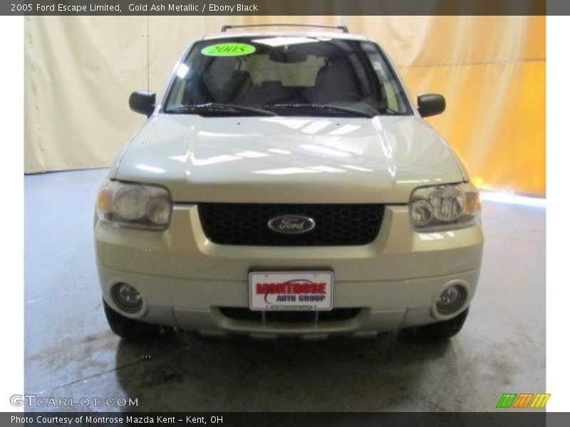 Gold Ash Metallic / Ebony Black 2005 Ford Escape Limited