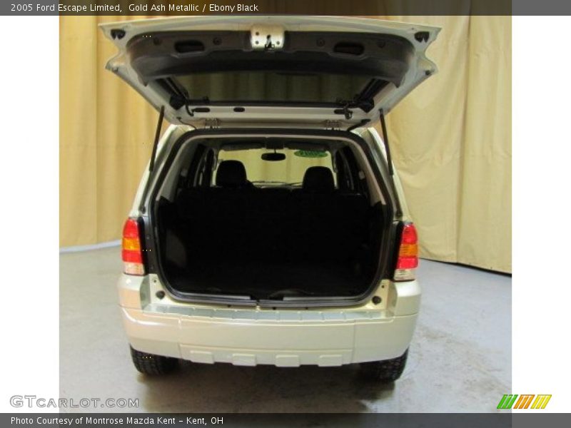 Gold Ash Metallic / Ebony Black 2005 Ford Escape Limited