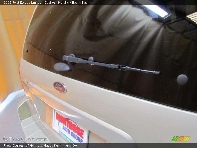 Gold Ash Metallic / Ebony Black 2005 Ford Escape Limited