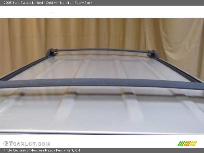 Gold Ash Metallic / Ebony Black 2005 Ford Escape Limited