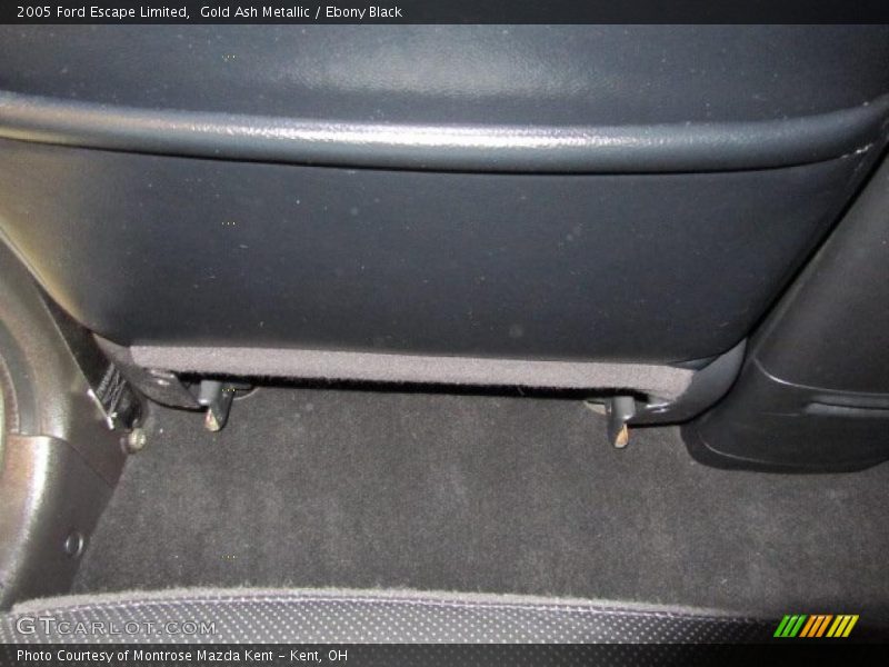 Gold Ash Metallic / Ebony Black 2005 Ford Escape Limited