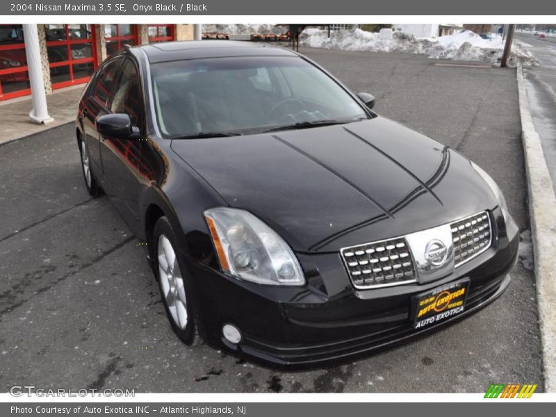 Onyx Black / Black 2004 Nissan Maxima 3.5 SE