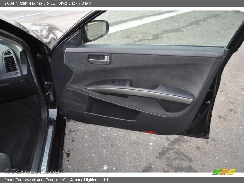 Onyx Black / Black 2004 Nissan Maxima 3.5 SE