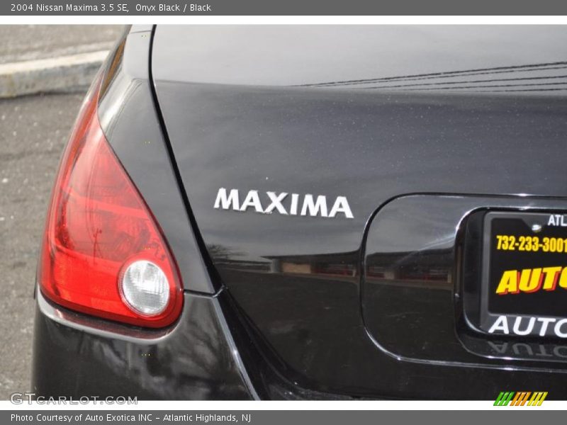 Onyx Black / Black 2004 Nissan Maxima 3.5 SE