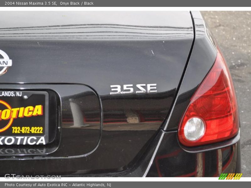 Onyx Black / Black 2004 Nissan Maxima 3.5 SE