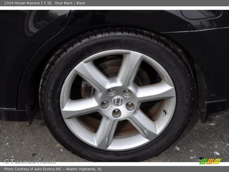 Onyx Black / Black 2004 Nissan Maxima 3.5 SE
