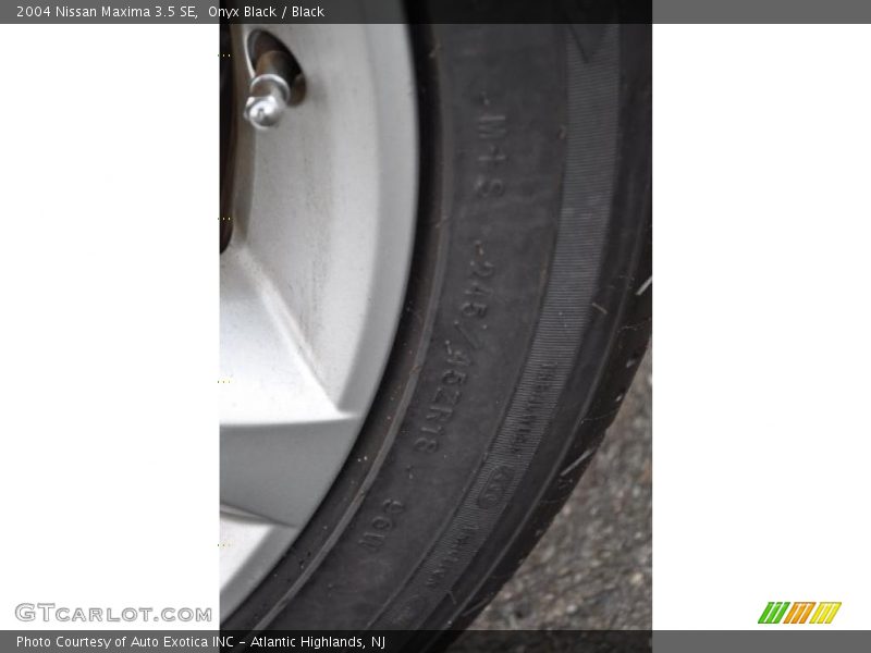 Onyx Black / Black 2004 Nissan Maxima 3.5 SE