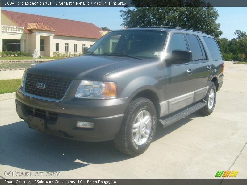 Silver Birch Metallic / Medium Flint Gray 2004 Ford Expedition XLT