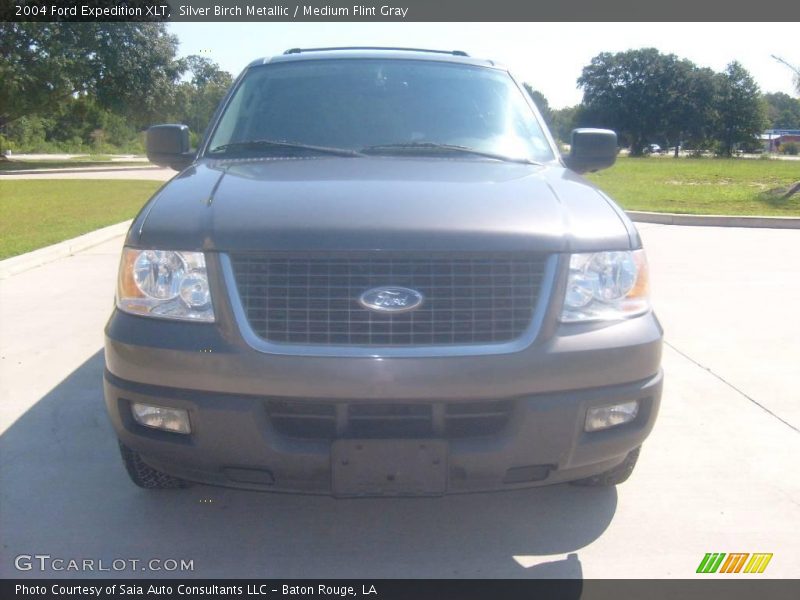 Silver Birch Metallic / Medium Flint Gray 2004 Ford Expedition XLT