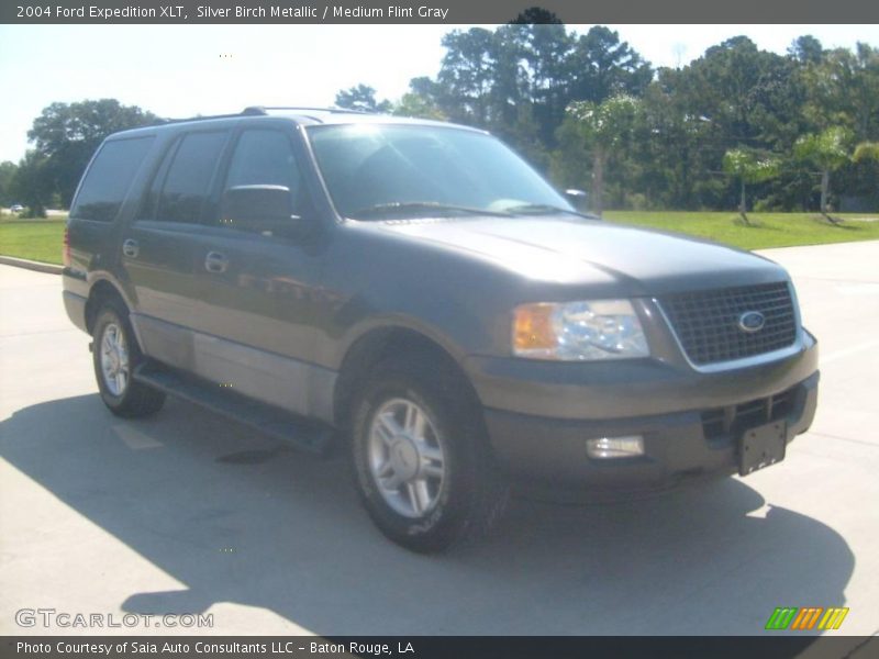 Silver Birch Metallic / Medium Flint Gray 2004 Ford Expedition XLT