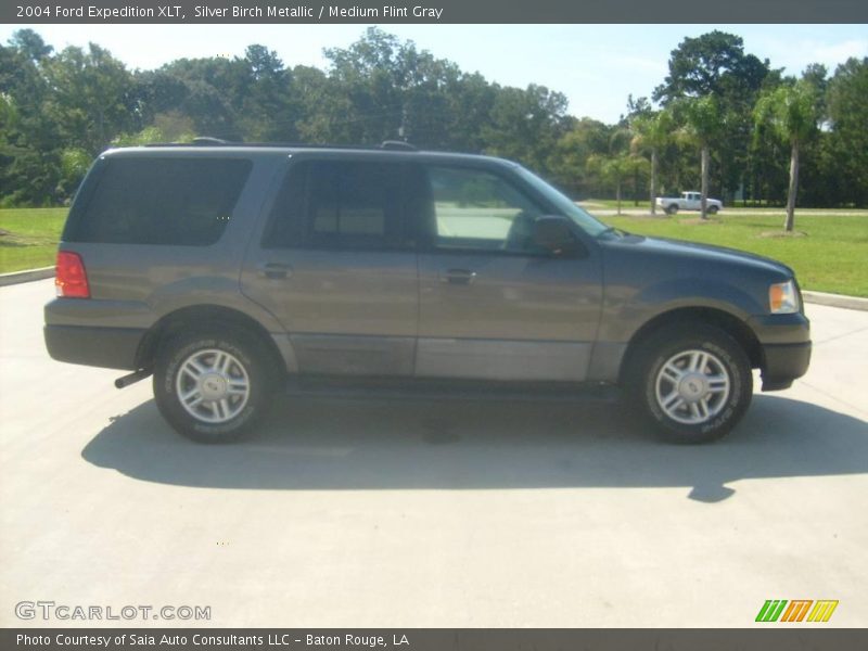 Silver Birch Metallic / Medium Flint Gray 2004 Ford Expedition XLT