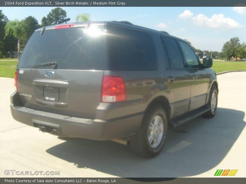 Silver Birch Metallic / Medium Flint Gray 2004 Ford Expedition XLT