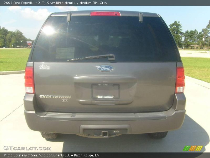 Silver Birch Metallic / Medium Flint Gray 2004 Ford Expedition XLT