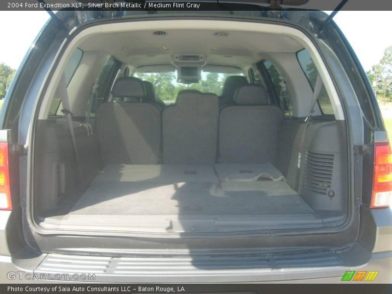 Silver Birch Metallic / Medium Flint Gray 2004 Ford Expedition XLT