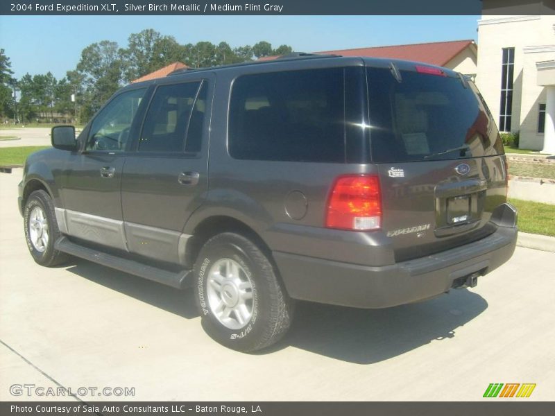 Silver Birch Metallic / Medium Flint Gray 2004 Ford Expedition XLT