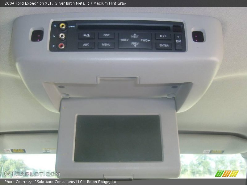 Silver Birch Metallic / Medium Flint Gray 2004 Ford Expedition XLT