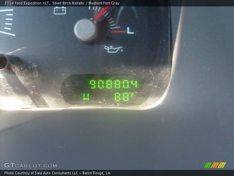 Silver Birch Metallic / Medium Flint Gray 2004 Ford Expedition XLT