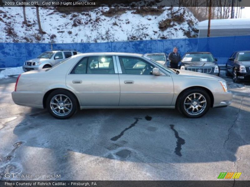 Gold Mist / Light Linen/Cocoa 2009 Cadillac DTS