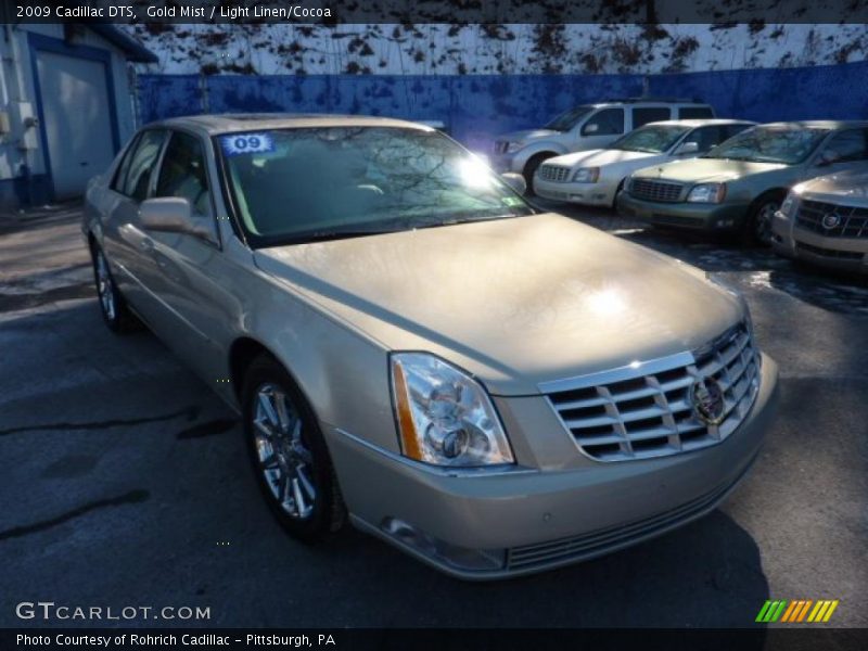Gold Mist / Light Linen/Cocoa 2009 Cadillac DTS