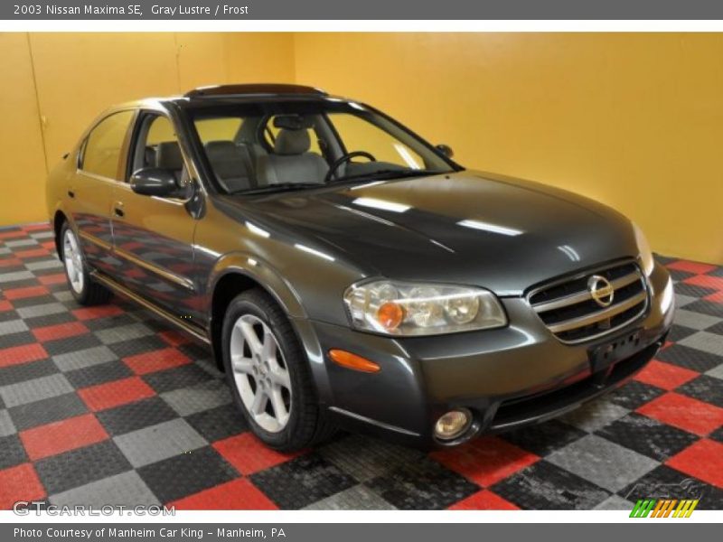 Gray Lustre / Frost 2003 Nissan Maxima SE
