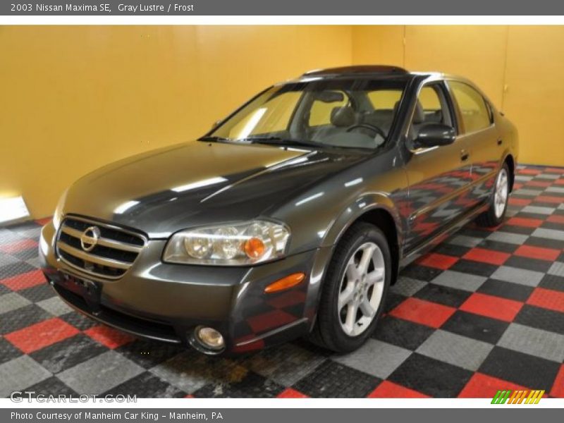 Gray Lustre / Frost 2003 Nissan Maxima SE
