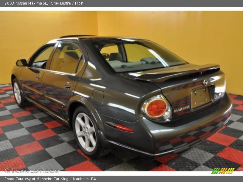 Gray Lustre / Frost 2003 Nissan Maxima SE