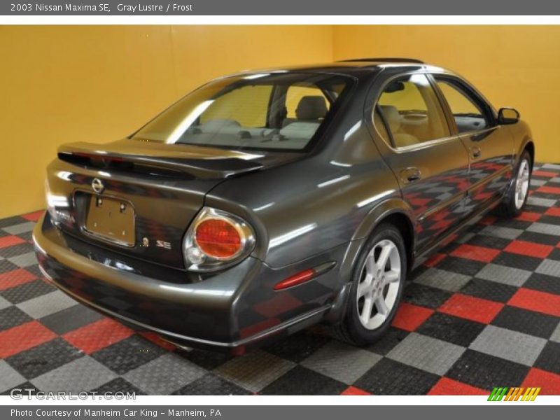 Gray Lustre / Frost 2003 Nissan Maxima SE