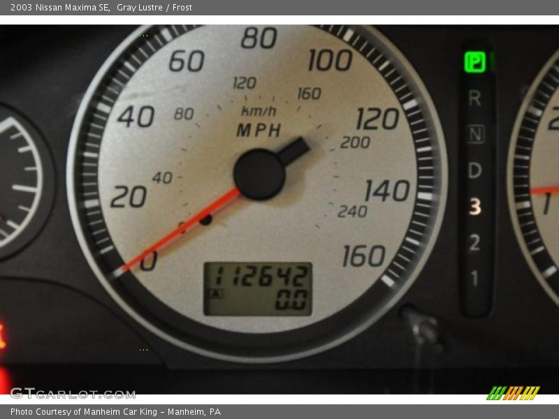 Gray Lustre / Frost 2003 Nissan Maxima SE