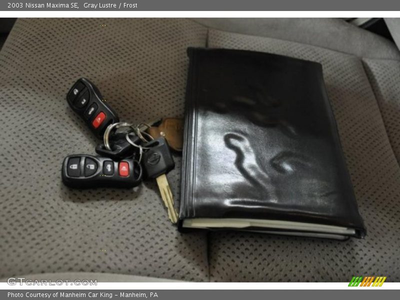 Gray Lustre / Frost 2003 Nissan Maxima SE