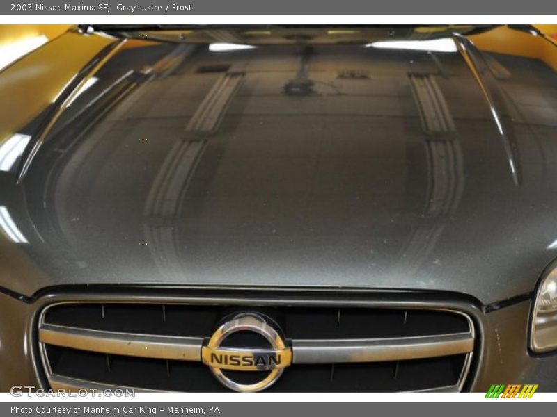 Gray Lustre / Frost 2003 Nissan Maxima SE